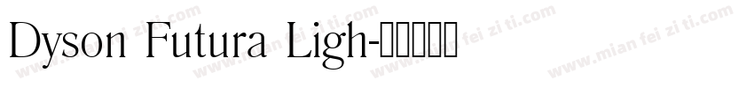 Dyson Futura Ligh字体转换